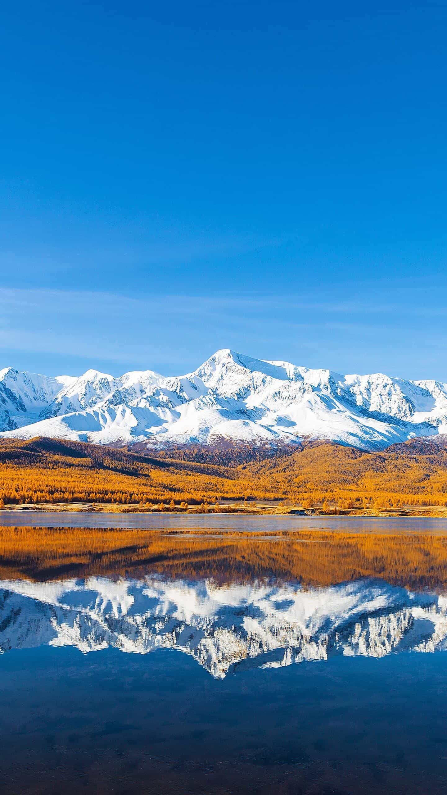 《深夜维护背后：游戏服务器为何总在关键时刻“掉链子”？》